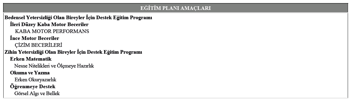 hafif düzey zihinsel.PNG